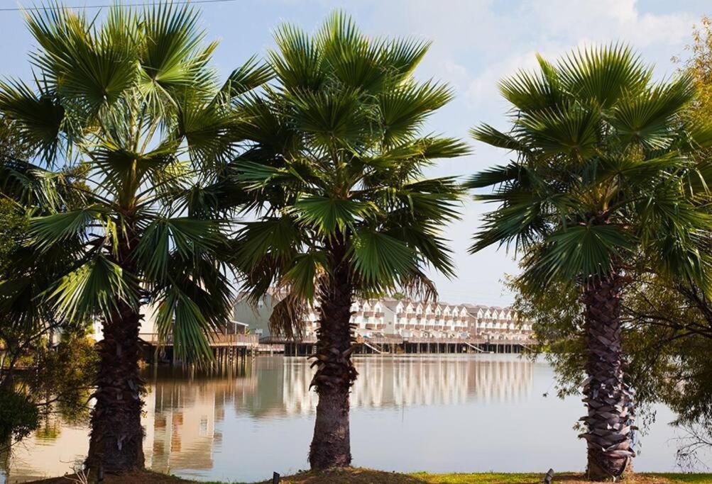 Scenic Carolina Waterfront Rentals - Arco チャールストン エクステリア 写真